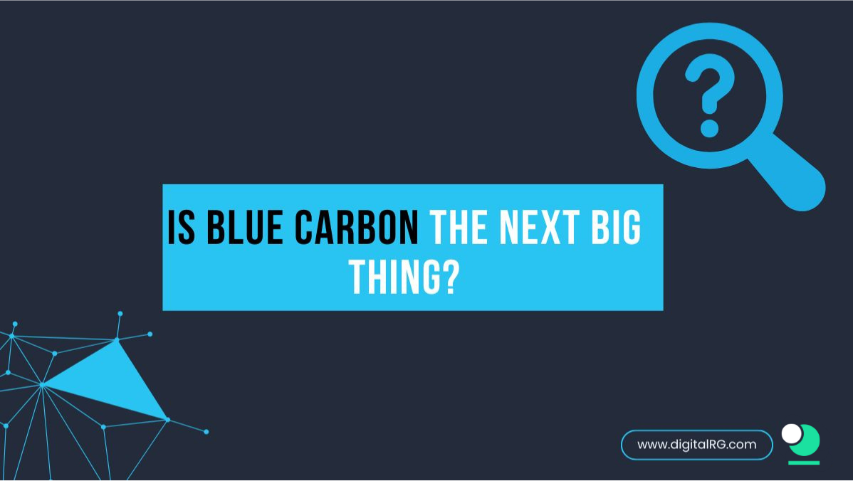 Is Blue Carbon the next big thing?