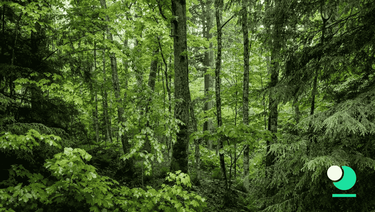 FSC Lottery Tickets & Scratchcards - Webinar