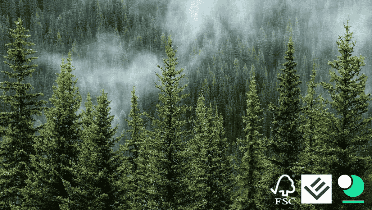 FSC, Papier, Wälder und der Lotteriesektor