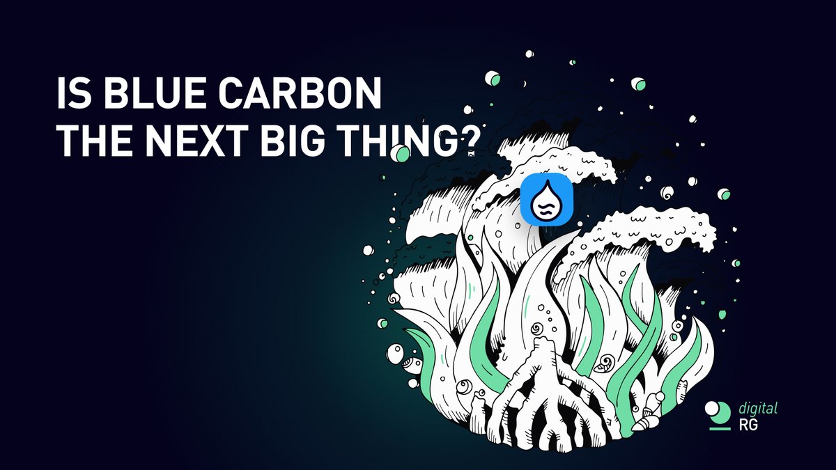 Is Blue Carbon the next big thing?