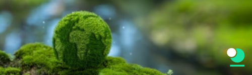 Green Jackpot: Emisiones en Empresas de Lotería y Juegos de Azar (Acreditada por CPD)