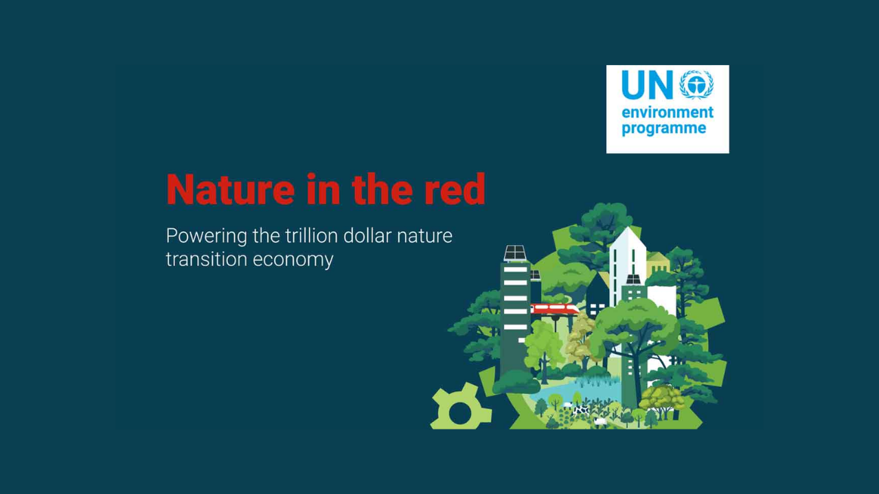 Powering the trillion-dollar nature transition economy  in Latin America and the Caribbean